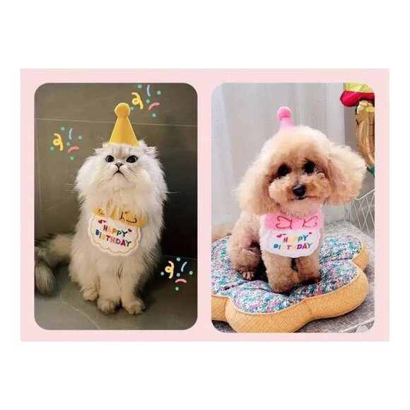 Other - Dog  or Cat Birthday Hat & Bib